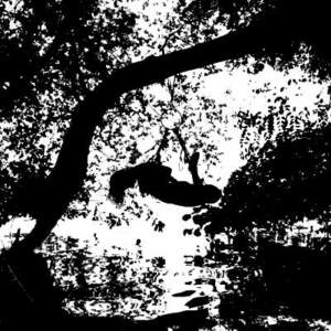 Aktfotografie, aktfotografie / fine-art nudes, Martin Peterdamm Photography
